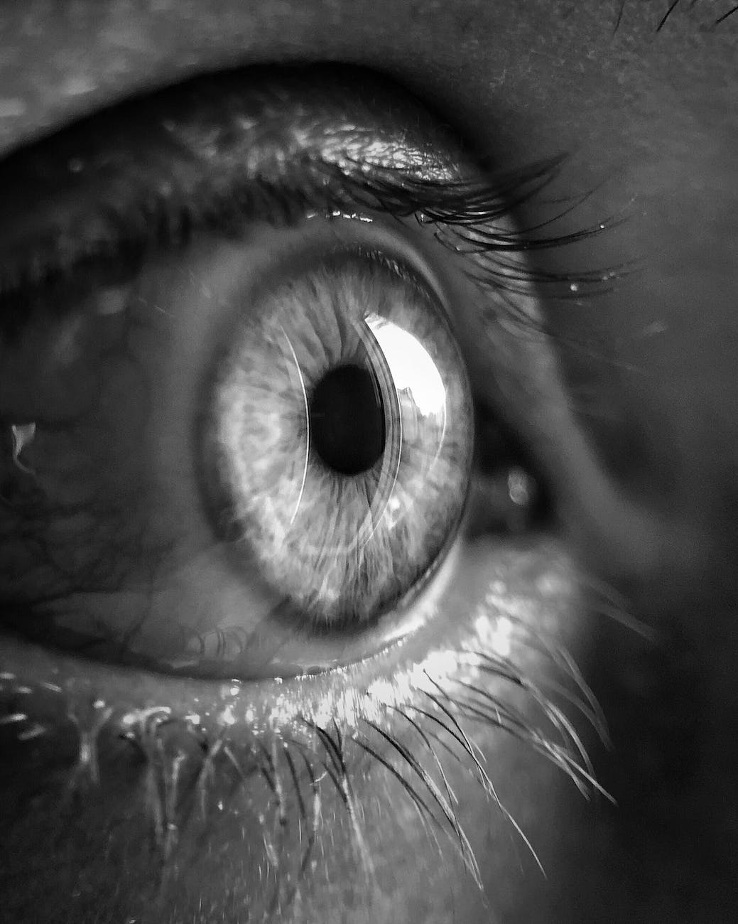 grayscale close up photo of human eye