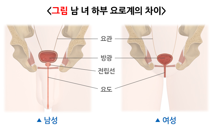 방광염이란?